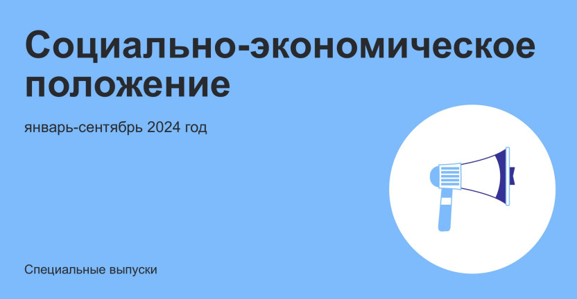 Социально-экономическое положение Чеченской Республики за январь-сентябрь 2024 года